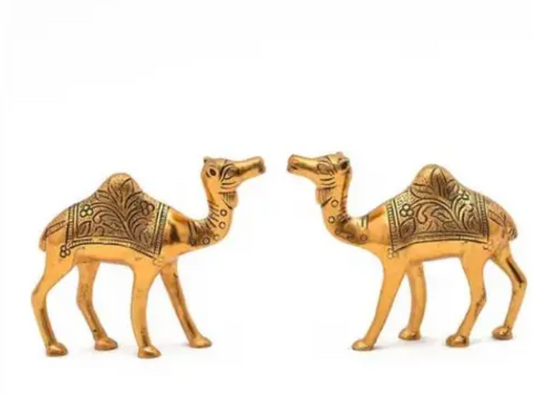 chandra art collection Golden Metal Rajasthani 3.5 Inch Camel Showpiece Pair Living Room Decorations 2 PSC (Golden , Metal).